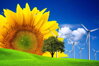 Environment and Ecology | mdacapitalinvest.com