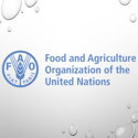 Food and Agriculture Organization (FAO)