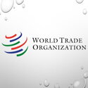 World Trade Organization (WTO)