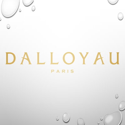 SHOP DALLOYAU