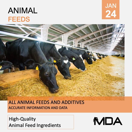 Global animal feed market 2023