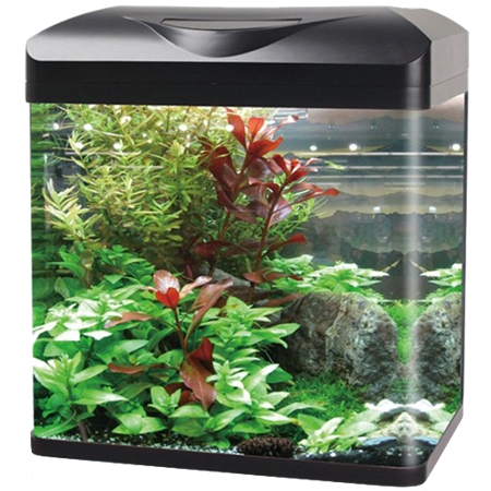 Aquarium & Fishbowls