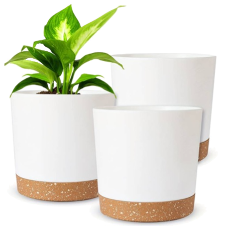 Decorative Planters