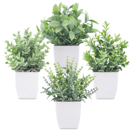 Faux / Artificial Plants