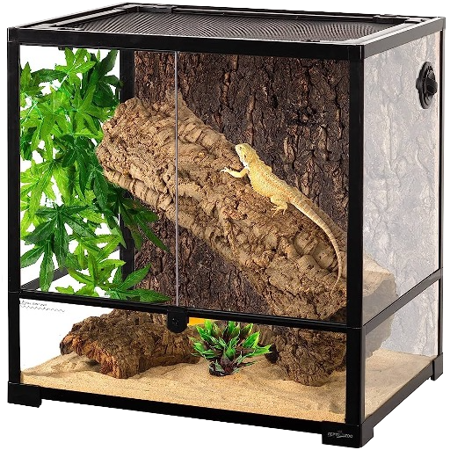 Terrarium