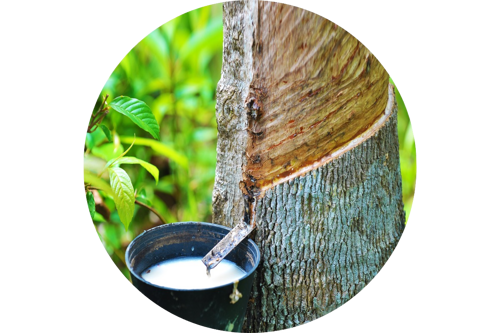 Rubber Commodities