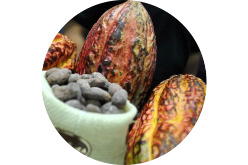 Cocoa & Cocoa Products