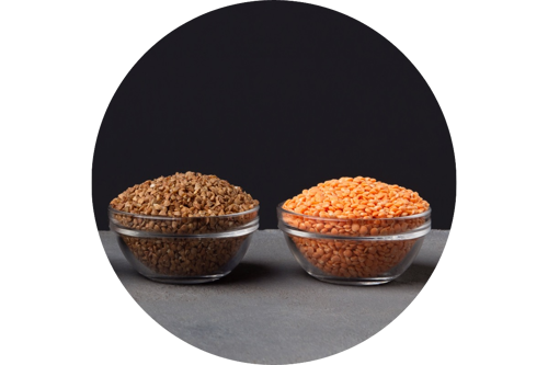 Grains