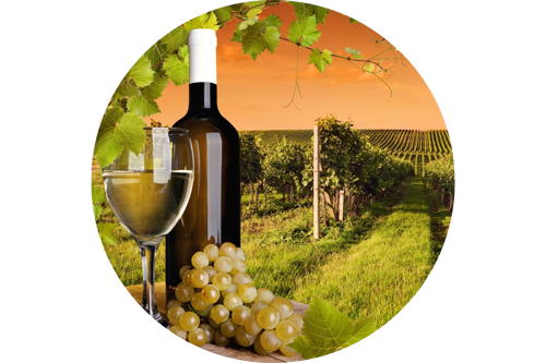 White Wines